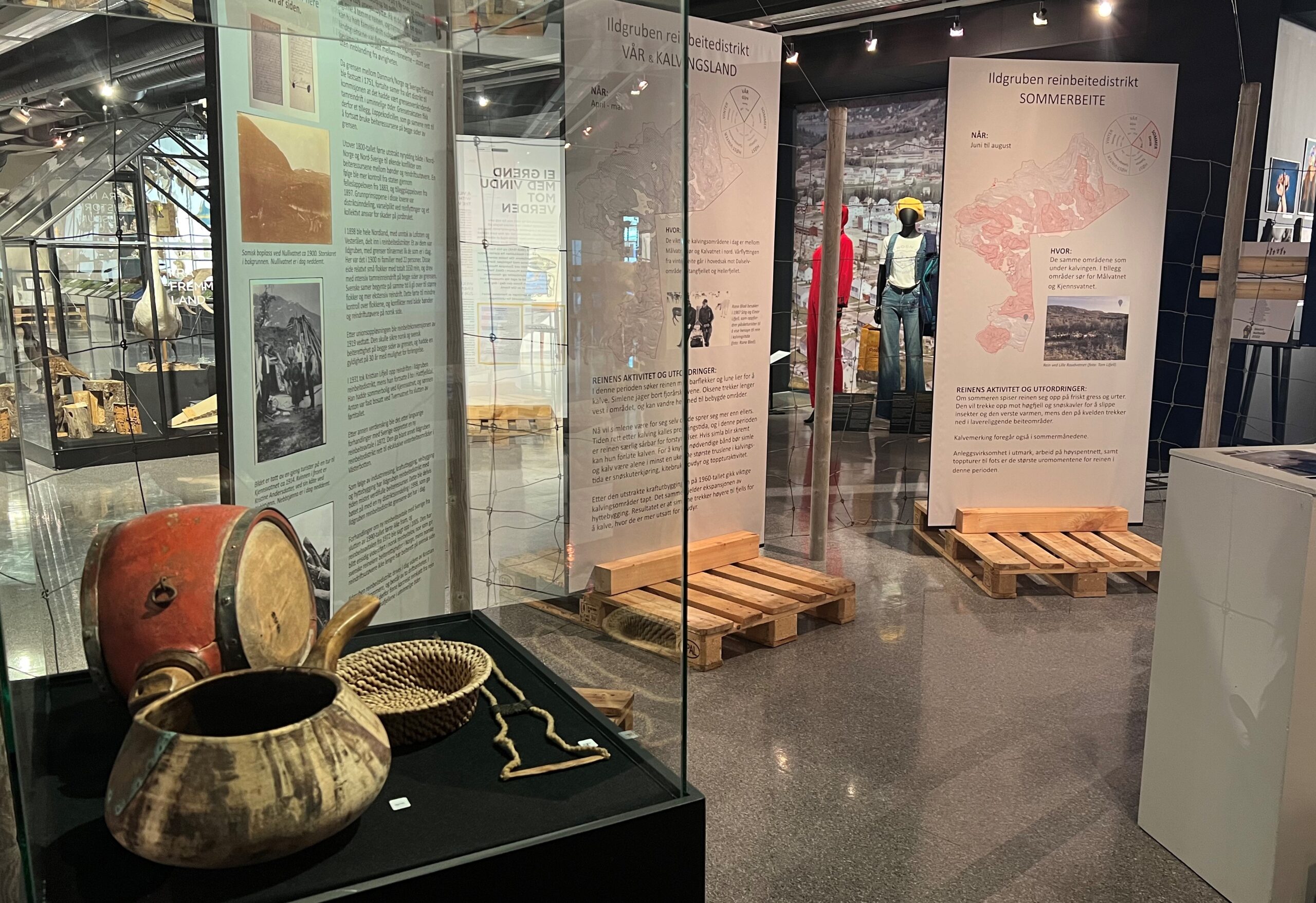 Viser del av den samiske utstillingen ved Rana museum