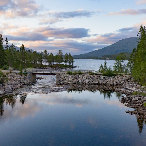 Svenningdalen fløterdam i Grane