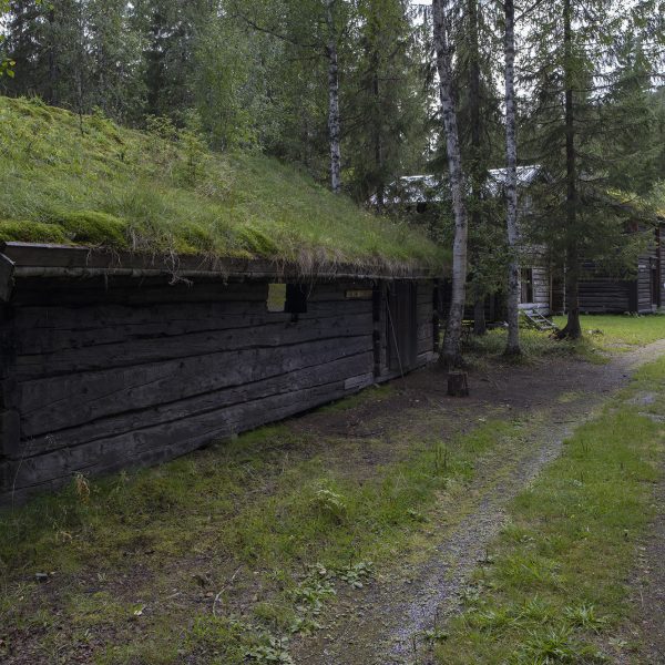 Gammel fjøs på Grane bygdetun