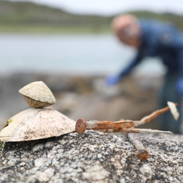 Skjell og rustne spiker på ein stein i forgrunn. Konturene av en mann bøyd i fjæra i bakgrunn