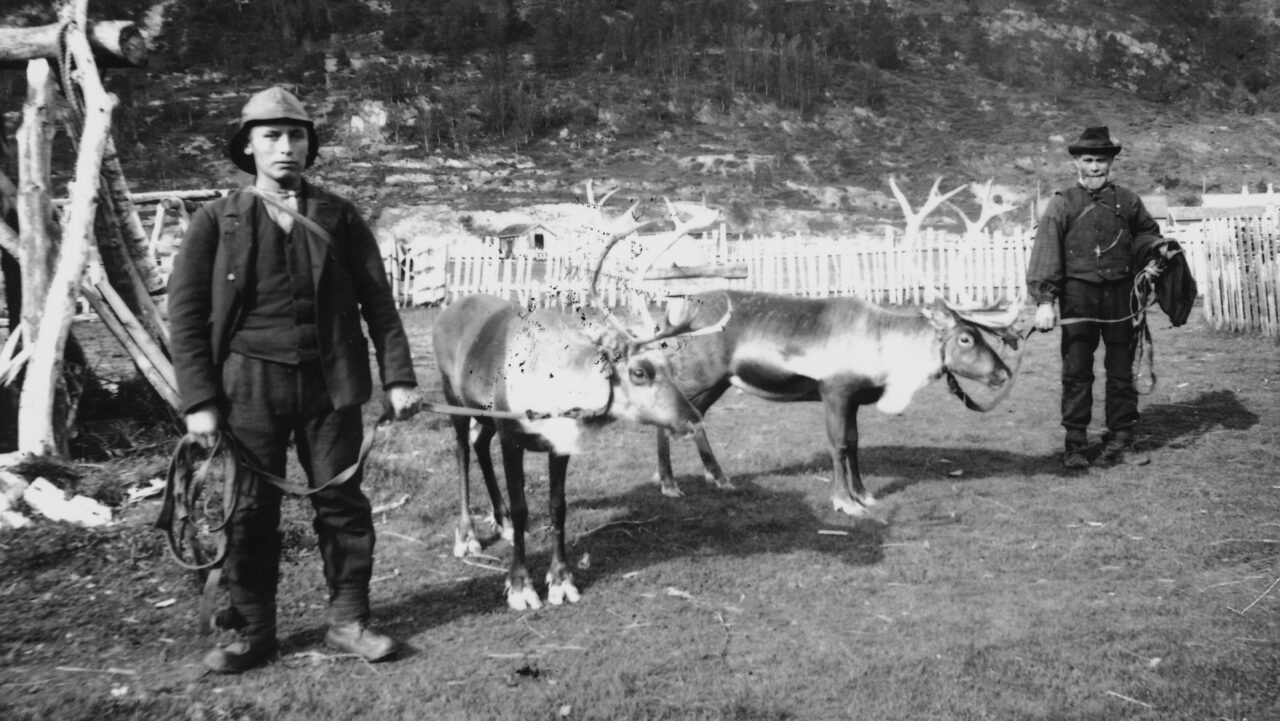 To personer holder hver sin rein i tau utendørs, foran et gjerde med skogkledde åser i bakgrunnen. Foto
