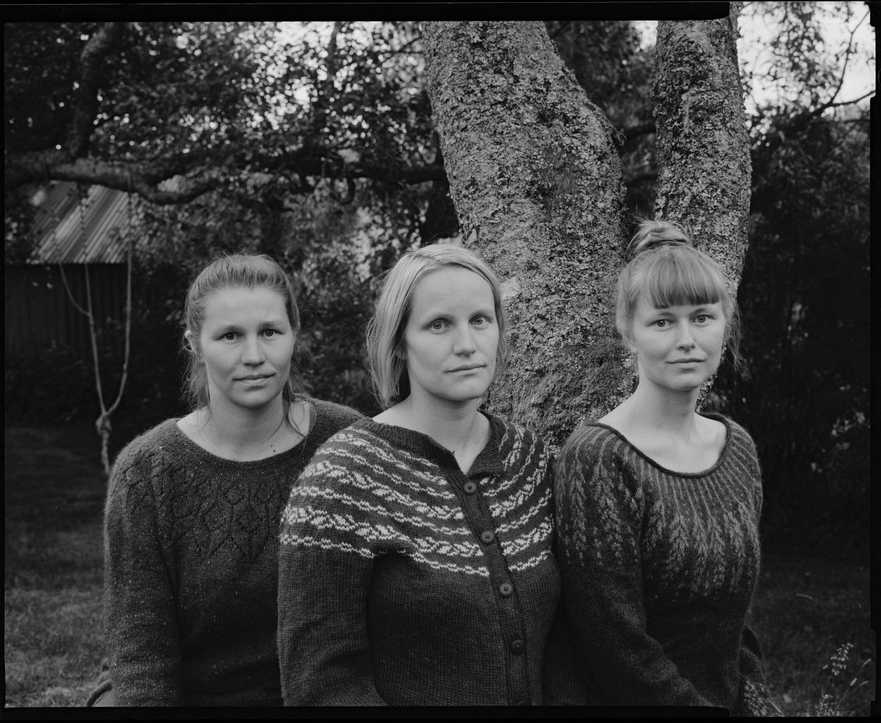 Svart-hvitt portrett av tre kvinner i strikkegensere, foran et stort tre utendørs, med løvverk og en bygning i bakgrunnen.