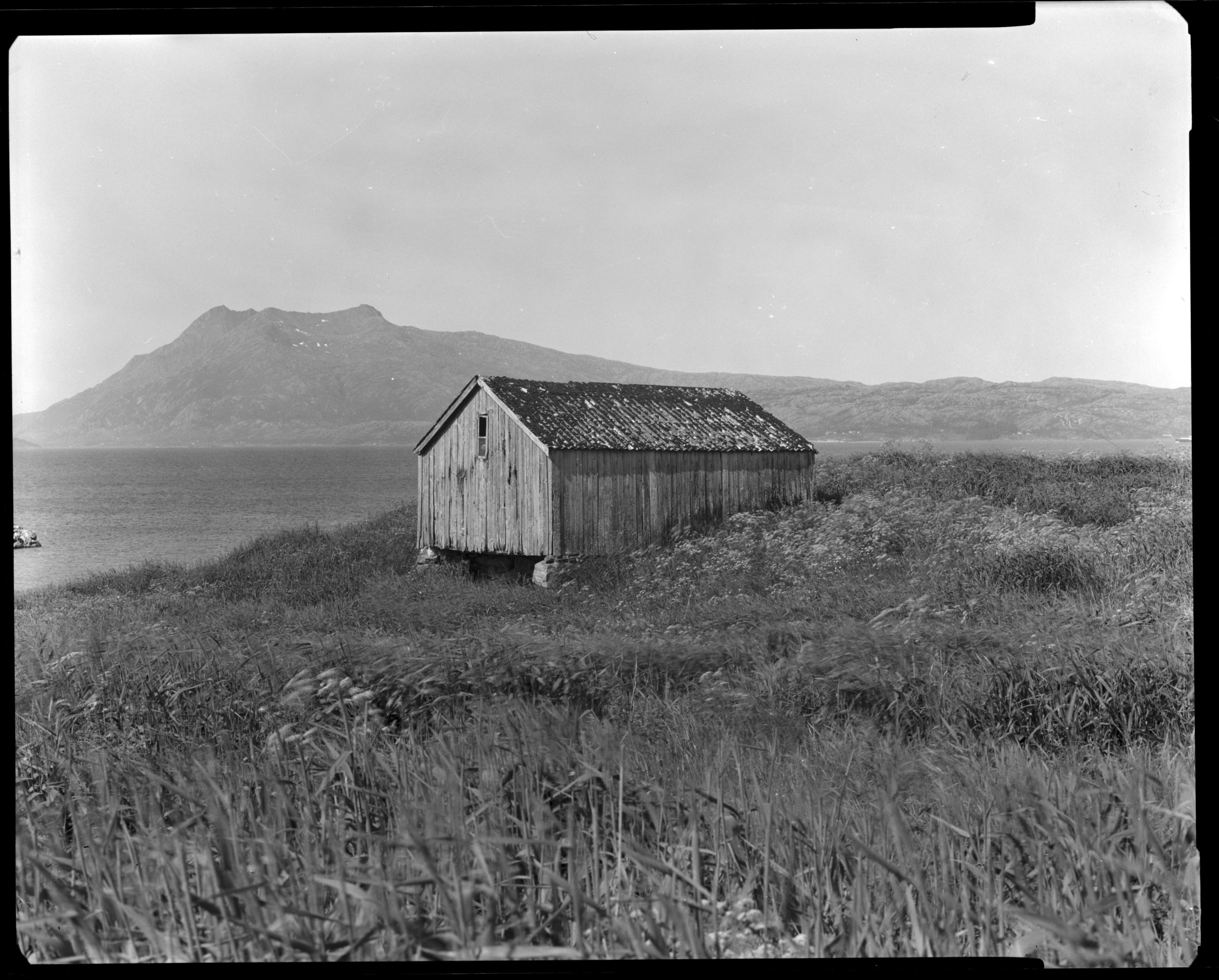 Lite værbitt trehus omgitt av høyt gress på en kysteng, med hav og fjell i bakgrunnen. Sort-hvitt-fotografi.