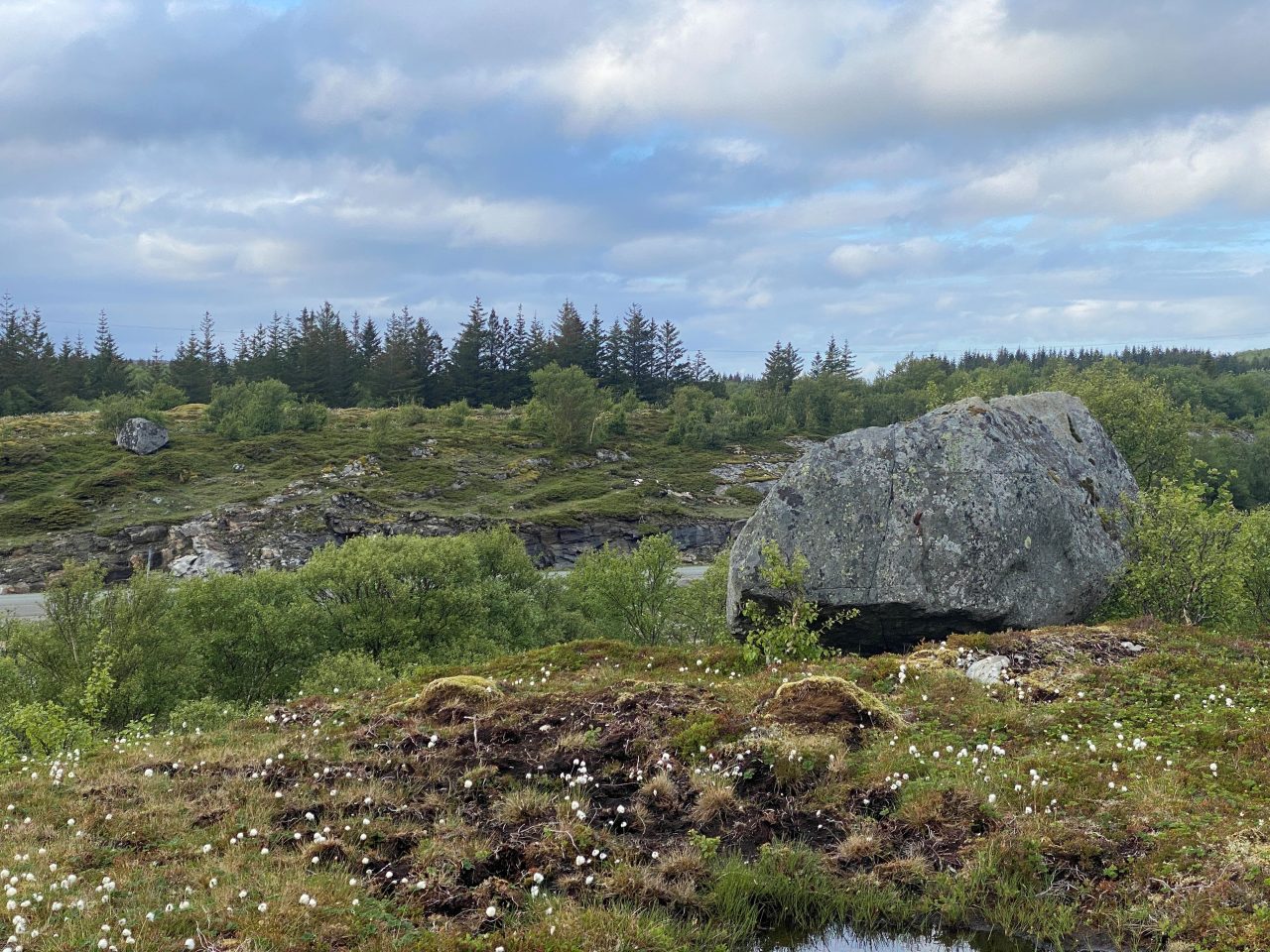 Foto. En stor, grå flyttblokk ligger prominent på en høyde over et åpent, grønt kyst- og myrlandskap med myrull. I bakgrunnen ses lave åser dekket av bjørk og granskog under en lett skyet himmel.