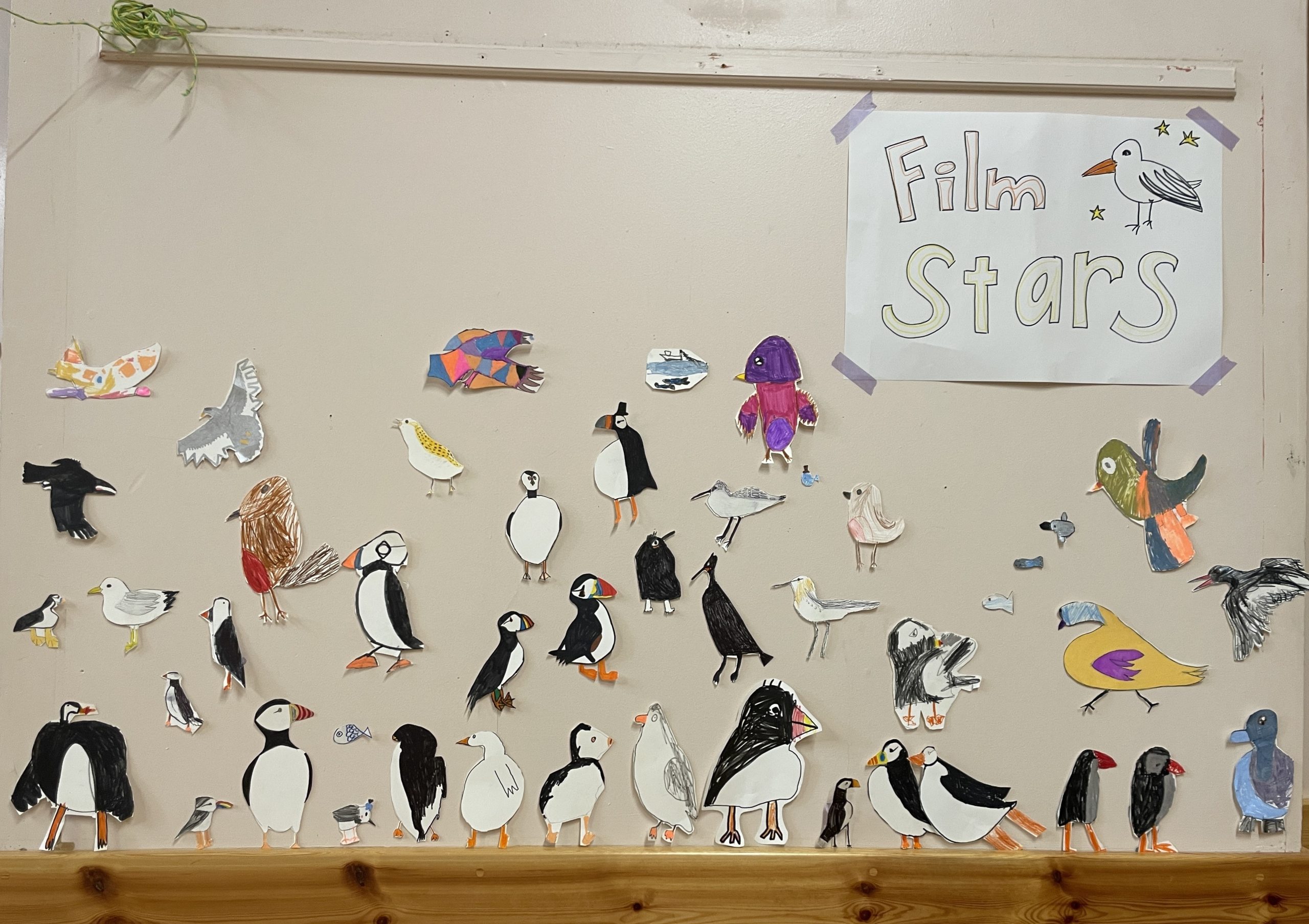 Vegg med utklipte tegninger av sjøfugler og en plakat med teksten «Film Stars». Foto